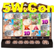 Bet Welcome Bonus
